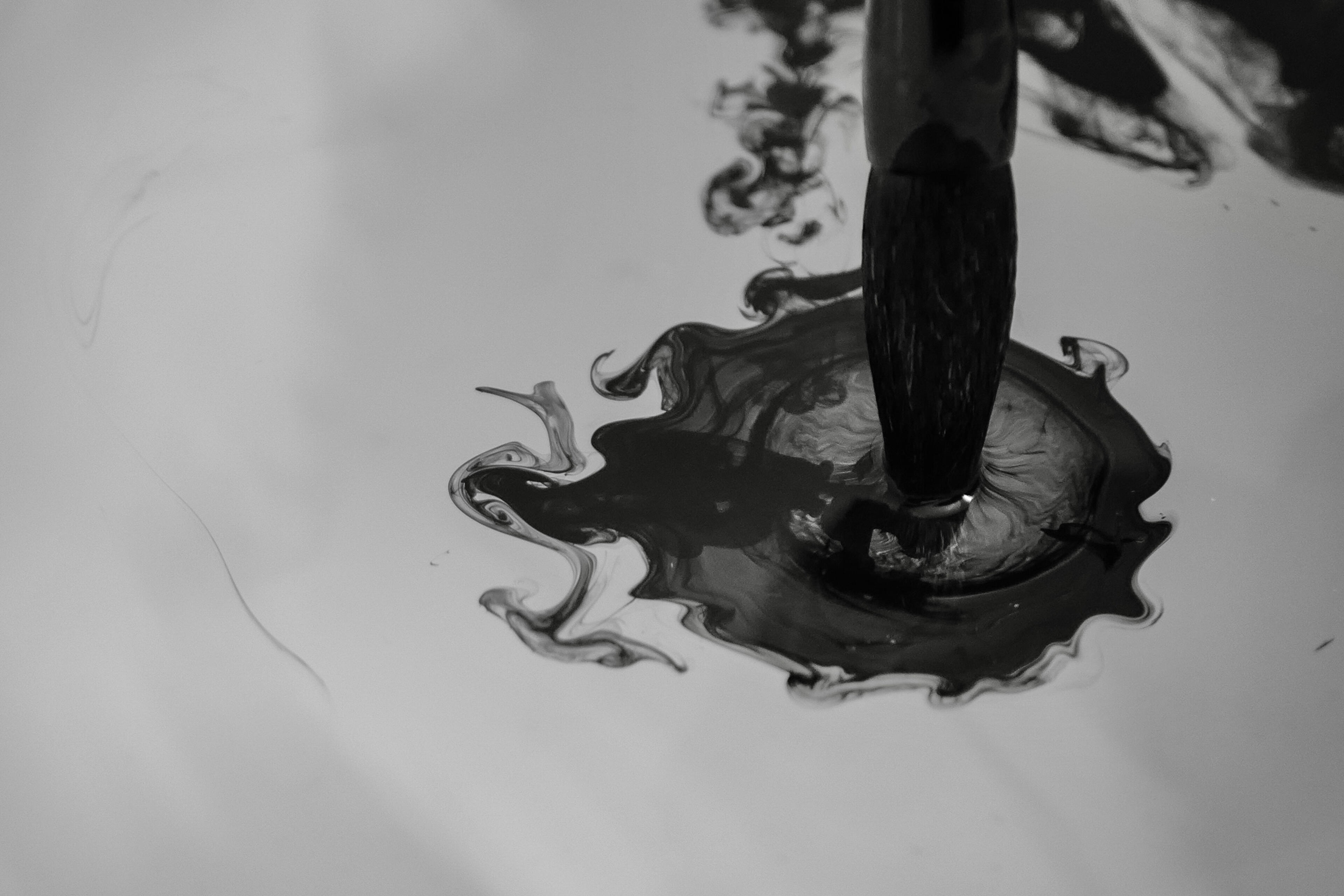 brush dip in color black white picture