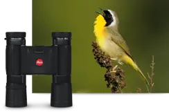 COMPACT-FIELD-OPTICS-2-VIVID-VIEWS