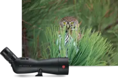 SPOTTING-SCOPES-2-FOCUSING-IN-FOCUS
