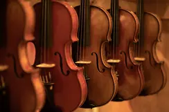 several violins
