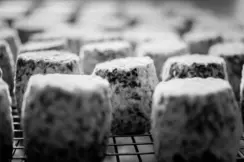 Close-up of a ripening blue cheese on a grid.
