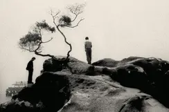 Two people are standing on large rocks next to a bare tree