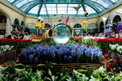 flower garden