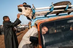 men with camel