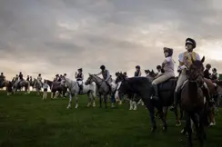 AA lot of riders on a meadow