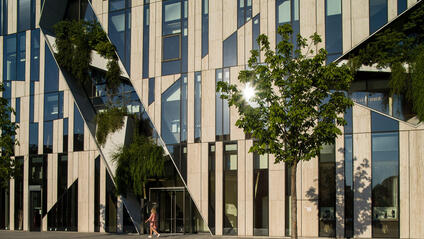 Window front of a big building with trees and plants.