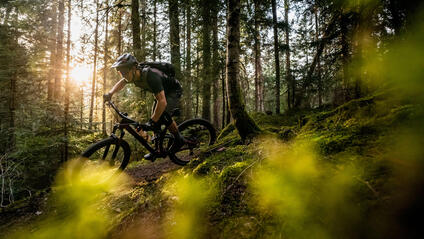 Man riding a mountain bike down a path in the woods on a sunny day.