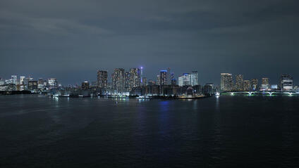 Illuminated skyline of Tokyo at night, with a view of the water in the foreground.