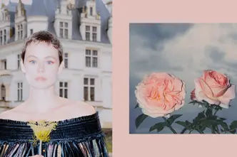 Two-part picture with a portrait of a woman in front of a castle and two roses.