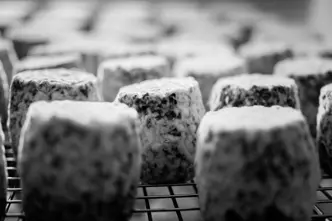 Close-up of a ripening blue cheese on a grid.