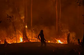 A firefighter stands in front of a fire in a dense forest at night.