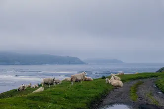 Calvin Courjon en Ecosse avec le D-LUX 8