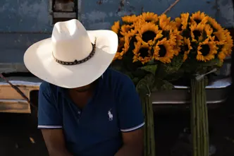 Man in a white cowboy hat sitting beside bright sunflowers and a weathered truck, capturing rural character, color and everyday life.