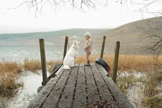 Child standing with a white dog on a rustic lakeside jetty, surrounded by autumn reeds and misty hills in a quiet natural landscape.