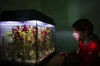 Authentische Reportage mit der M11-P