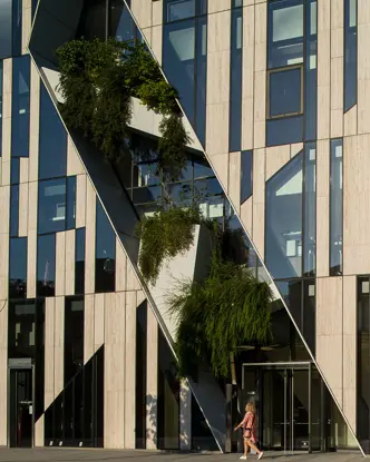 Window front of a big building with trees and plants.