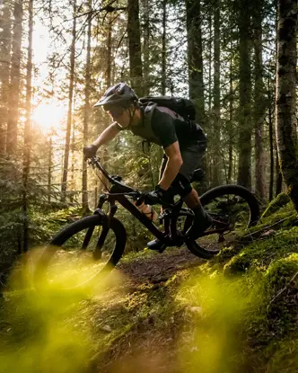 Man riding a mountain bike down a path in the woods on a sunny day.