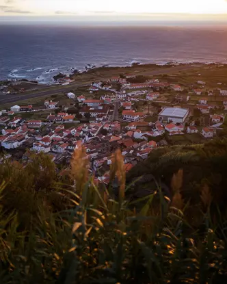 A small coastal village surrounded by green vegetation at sunset.