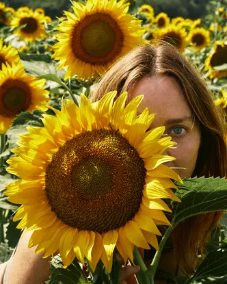 Mary McCartney in the sunflower field
