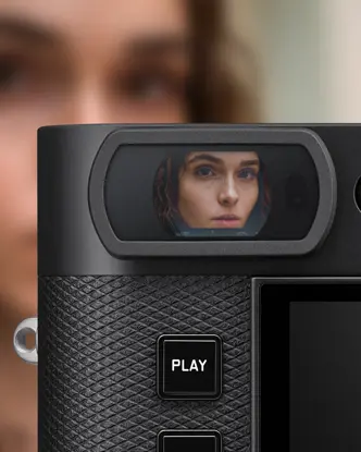 View through a electronic viewfinder