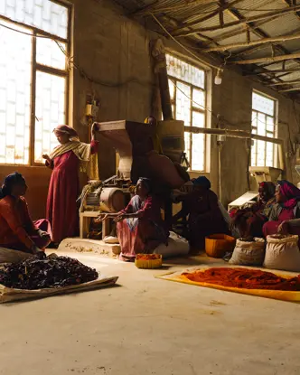 Work carried out by women at a managed spice mill in Ethiopia