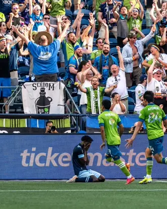 crowd celebrating a goal 