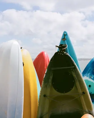 Colour image of surfboards by the seaside.