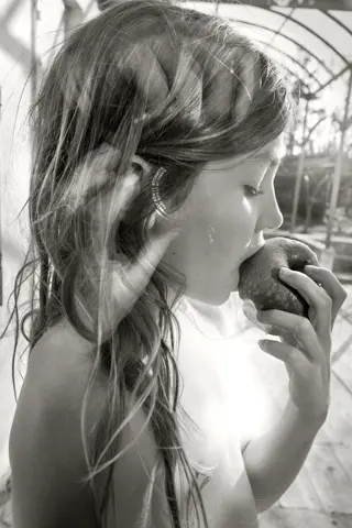 Alain LAboile Quotidien