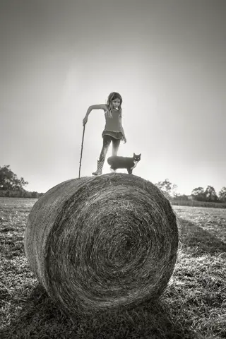 Alain Laboile Quotidien