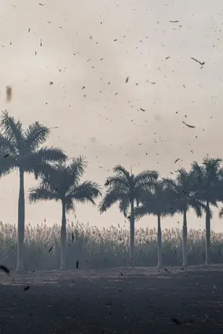 storm
