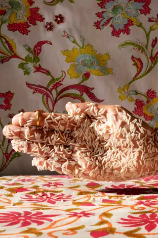 Rice and hand
