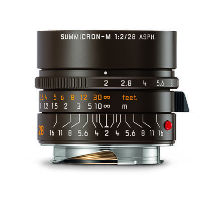 2019_Leica M Monochrom_Drifter_Summicron-M 2_28