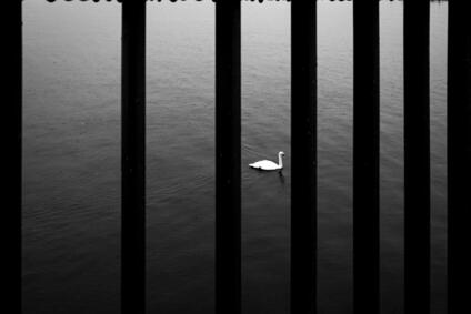 20_Philipp-Weinmann_2400_teaser-1200x800