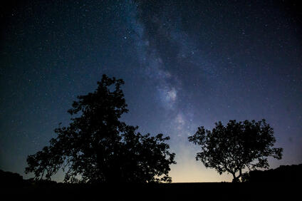 M11_f16_5sec_ISO6400_1.dng