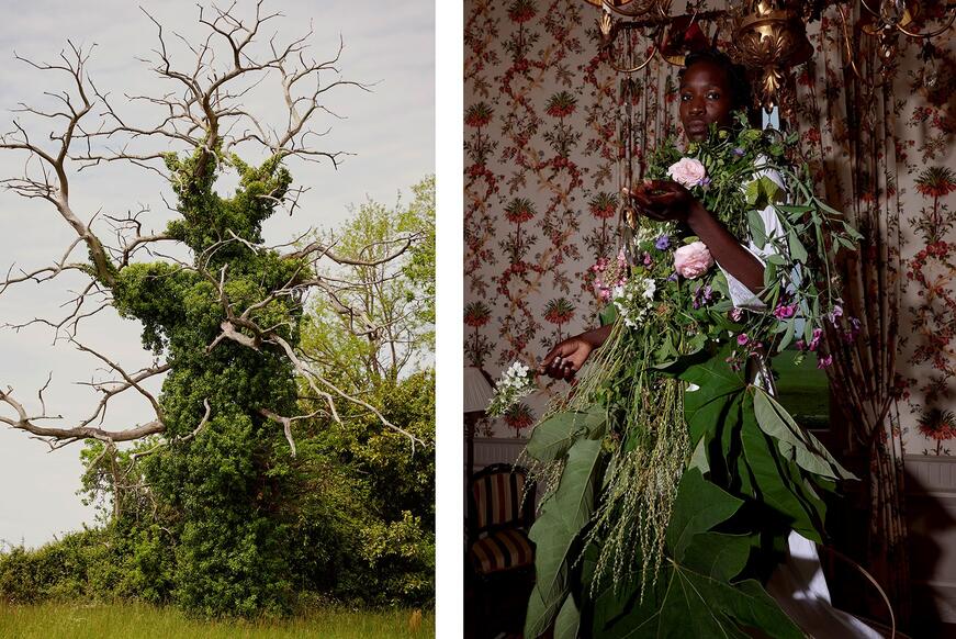 diptych with black moman flowers and tree