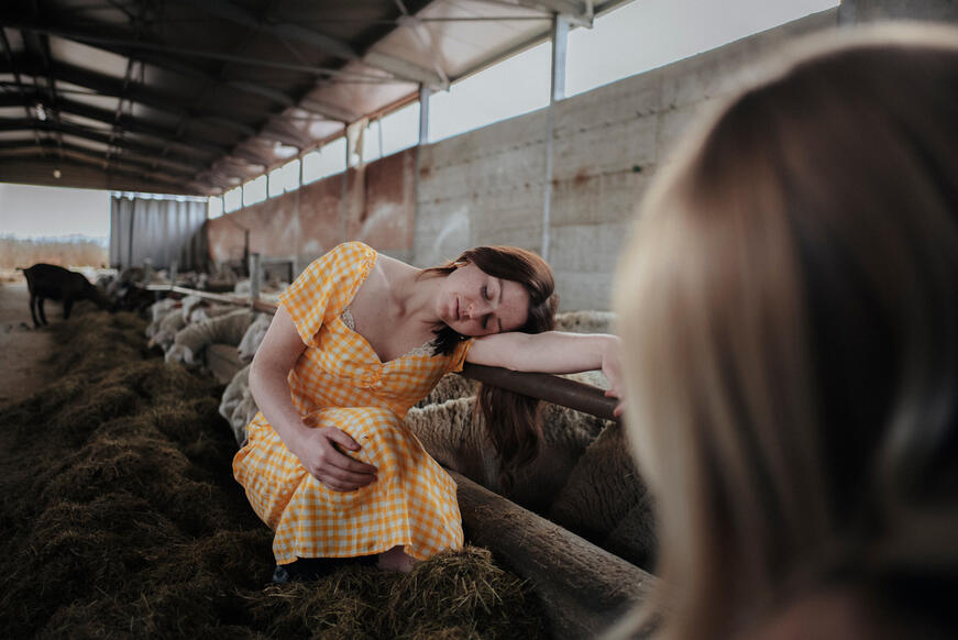 Model in the sheepfold