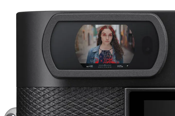 View through an electronic viewfinder