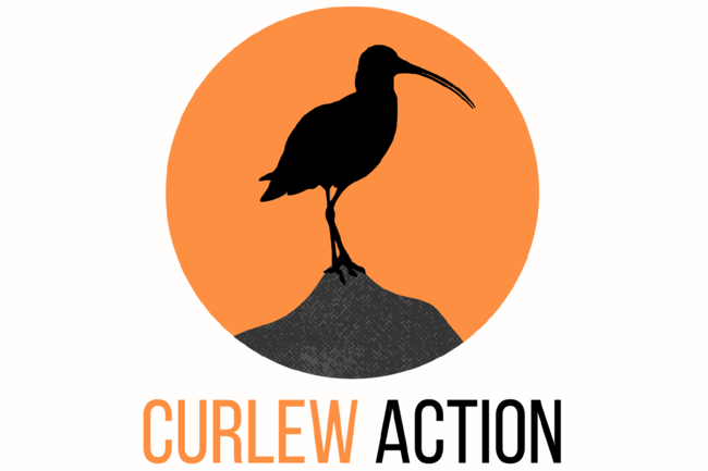leica_uk_so_partners_curlew_action_02