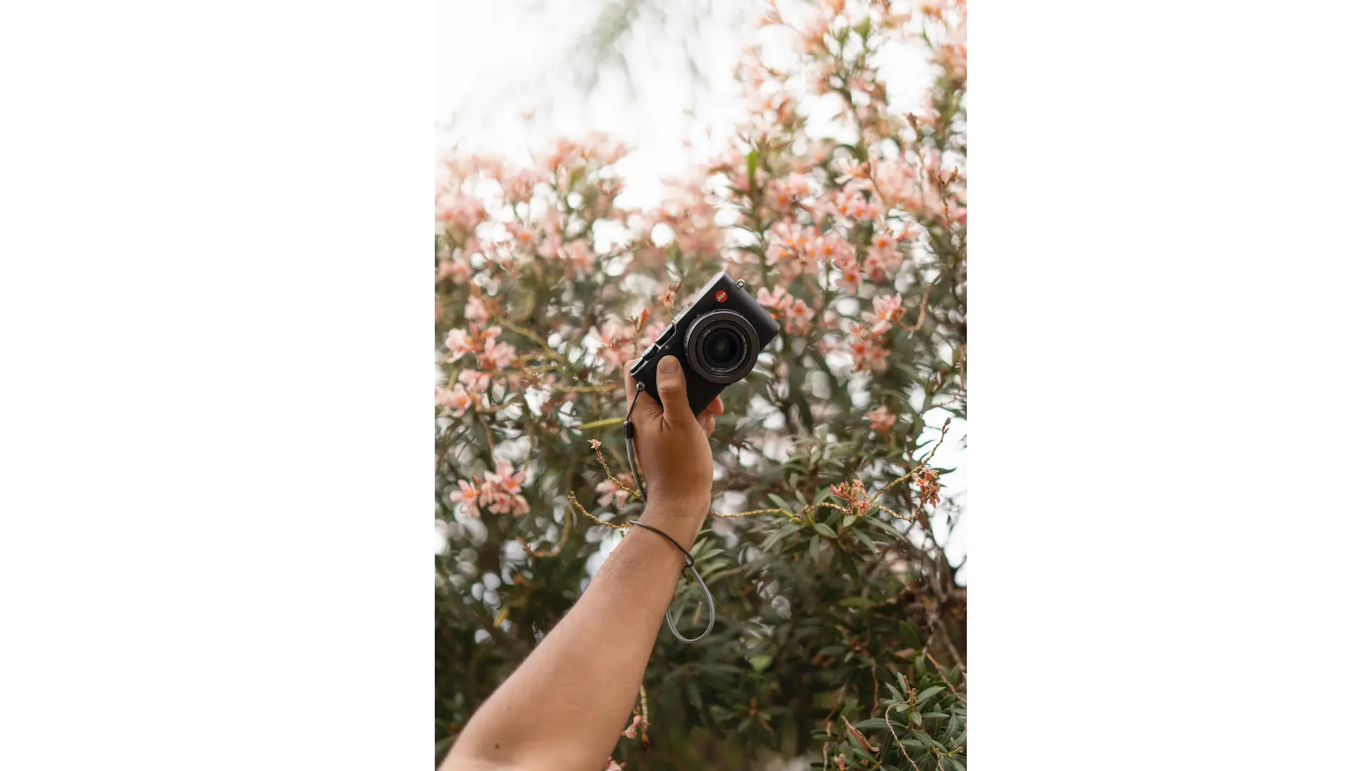 outstretched arm with a Leica Camera in his hand in front of a flower bush